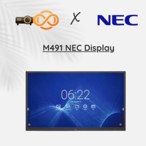 M491 NEC Display