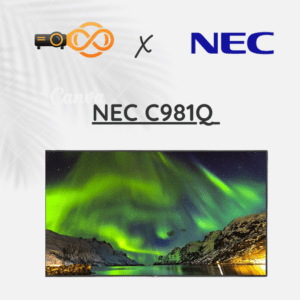 NEC C981Q LCD Display