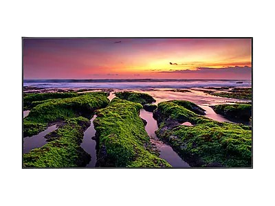 Samsung QBB N Series 55"