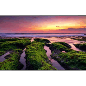 Samsung QB Series 65"