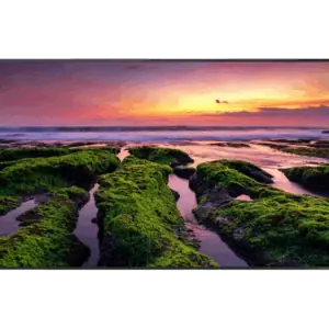 Samsung QBB Series 65"