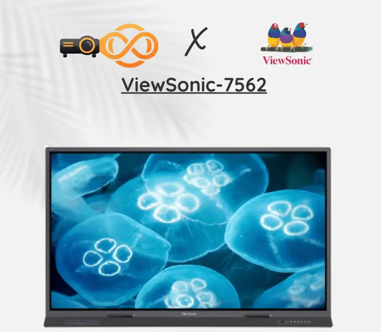 ViewSonic-7562
